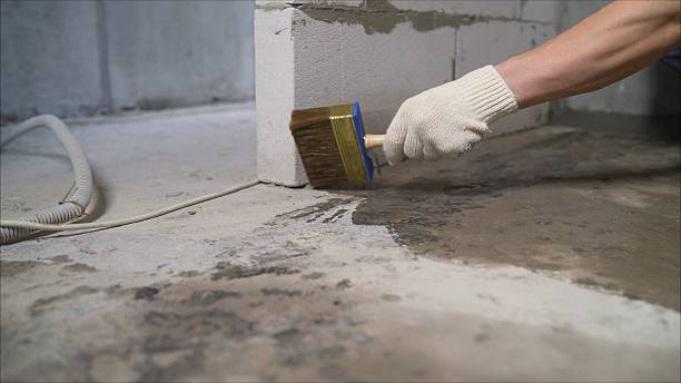 SJ Waterproofing Pros Waterproofing coverage map for Foley, MN and surrounding area